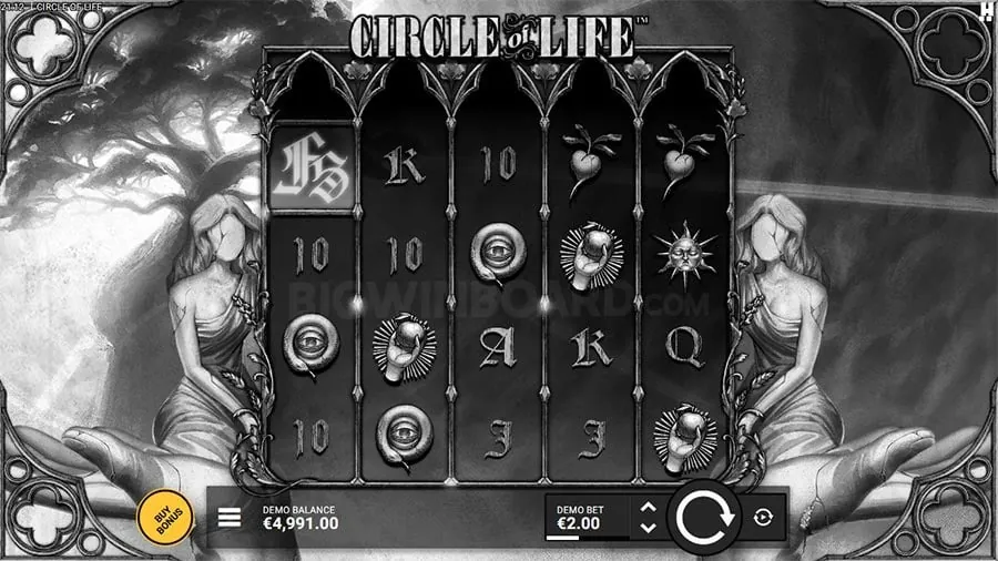 Guide to Live Baccarat